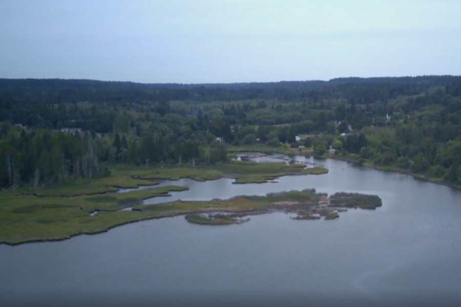 Voices Across The Lagoon